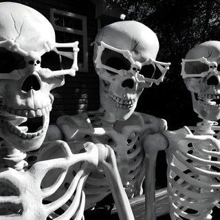 three skeletons sitting on a bench with their heads turned to look like they are holding hands Trio Halloween Diy Halloween Decoration Ideas, Black And White Skeleton Photo, Halloween Skeleton Decor, dark slate gray