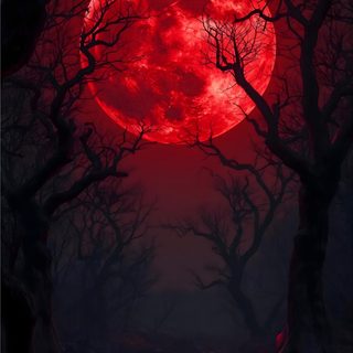 a red full moon is seen through the trees in this creepy forest scene with dark, spooky branches Red Moon Halloween Dark Red Moon, Vampire Blood Moon, Red Blood Moon, Blood Moon Art, black
