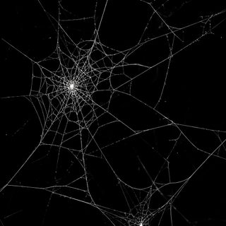 a spider web is shown in the dark Halloween Web Black black