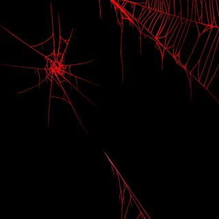 some red spider webs on a black background Halloween Spider Webs Wow Photo, Red Background With Spider Web, Background Red Spider Web, black
