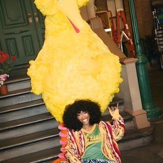 a woman sitting on the ground in front of a big bird mascot with her hands up Sza Halloween Draw Sza, Baby Sza, Sza Costume, Green Sza, Singer, Sza Lockscreen Iphone,