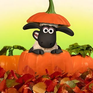 a black sheep sitting on top of a pile of pumpkins with leaves around it Halloween Sheep chocolate