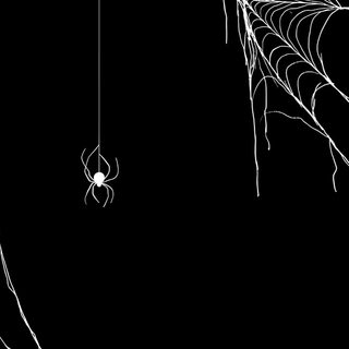 a spider web hanging from the side of a tree branch in front of a black background Spider Halloween Spider Web Design Ideas, Spider Hanging On Web, Spyder Background, Spider, black