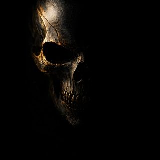 a scary looking skull in the dark Black And Gold Halloween Clever Logo Design, Black And Gold Iphone, Black And Gold Skull, Gold Iphone,