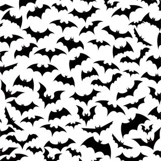 black and white bats flying in the sky seamlessly background for wallpaper or backdrop Halloween Bats On White Bat Background Images, Bat Background Hd, Bat Silhouette, Bats Background,