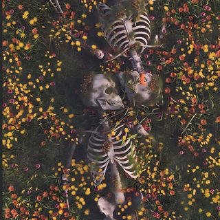 an aerial view of two skeletons in a field of flowers Cute Aesthetic Halloween Skeleton Creative Laptop Background, Dia De Los Muertos Aesthetic, Remember The Flowers, dark slate gray