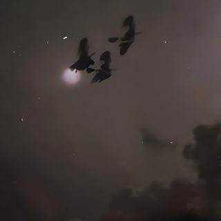 three birds flying in the night sky with stars and clouds behind them on a cloudy day Salem Halloween Aesthetic Dark Halloween Aesthetic, Witch Aesthetic Iphone, Witch Iphone Aesthetic, dark slate gray