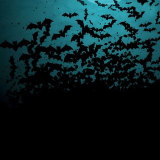 a large group of bats flying in front of a full moon with the sky lit up Blue Halloween Iphone Halloween Phone 4k, Bat Radar Iphone, Bat 4k, Bat Background Hd, Bat Hd, Bats, black