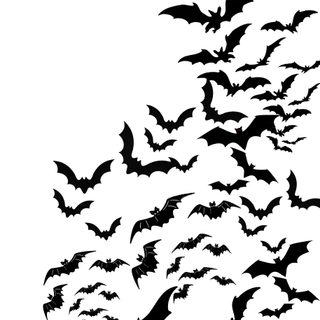 a flock of bats flying in the sky Halloween Bats On White Freaking Bats, Bat Silhouette, Batty, Bats Background, Bats Dark Aesthetic,