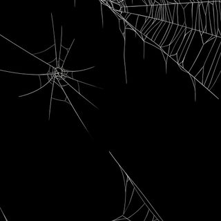 spider webs are shown in black and white Black Halloween Iphone Spider Background Aesthetic, Iphone Black Spider Web, Old Spider Web,