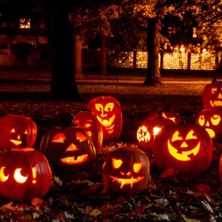 pumpkins carved to look like jack o lantern faces Halloween Pumkin Jack O Lantern Pumpkin Patch, Jack O Lantern Jamboree 2, Jack O Lantern Driveway Lights, black