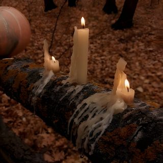 some candles are sitting on a log in the woods Halloween Candle Cozy Fall Aesthetic Witchy, Halloween Forest Aesthetic, Hallows Eve Aesthetic, black