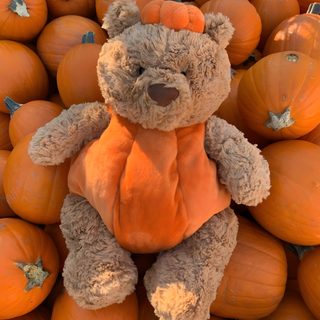 Pumpkin jelly cat 🎃🐻 Autumn Teddy Bear With Pumpkin, Jellycat Bartholomew Bear Pumpkin Jellycat Halloween Autumn Teddy Bear With Pumpkin, Jellycat Bartholomew Bear Pumpkin, sienna