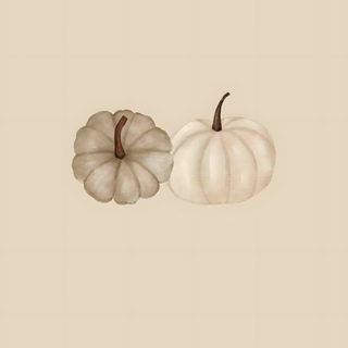 two white pumpkins sitting next to each other on top of a beige background, Aesthetic Beige Halloween Beige Autumn, Fall Icons, Ipad Image, Classy, Phone Vintage, wheat
