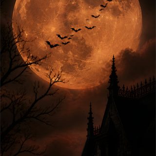 a full moon with bats flying in the sky Halloween Bats Moon black