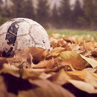 a soccer ball sitting on top of leaves in the middle of an open grass field Halloween Soccer Soccer Ball On Grass, Empty Soccer Field In Autumn, Old Soccer Ball With Roots, sienna