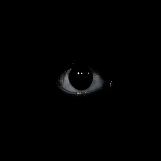 an evil looking eye in the dark Halloween Eye The Eyes, Black Is Black, Nonchalant Pfp Aesthetic Black, Dark Eye Meme, Ego Icon,