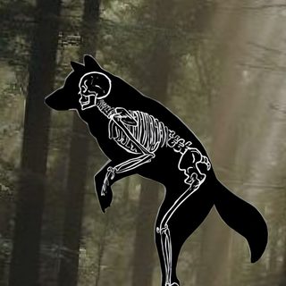 🩷🤍🩷🤍 Art Therian Symbol Art, Therian Print, Therian Posters For Room, Therian Logo Wallpaper, Symbol Wolf Therian Art, Wolf Therian Symbol Wallpaper, Skull Dog Wallpaper, Aesthetic Therian Art, Therian Symbol Background Therian Halloween Art Therian Symbol Art, Therian Print, Therian Posters For Room, dark olive green