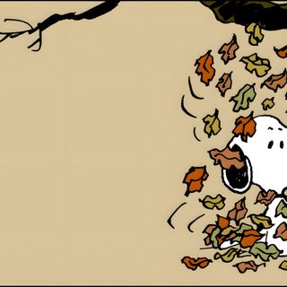 a cartoon dog is playing with falling leaves Snoopy Halloween Chromebook Snoopy Fall Desktop, Snoopy Fall Laptop, Snoopy Fall Macbook, tan
