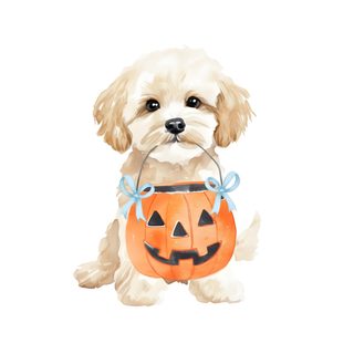 a white dog wearing a pumpkin costume Halloween Poodle Spooky Dog Drawing, December, Shih Tzu Puppy, Tablet, Doodle Dog, Dog Drawing, white