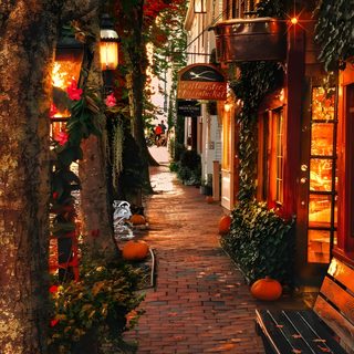an alley way with pumpkins on the ground and lights in the trees above it Salem Halloween Aesthetic Massachusetts Aesthetic, Salem Massachusetts Travel, Salem Halloween, saddle brown