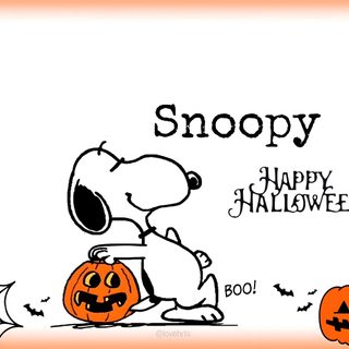 snoopy is sitting on top of a pumpkin Snoopy Halloween Chromebook Snoopy, Halloween Boo, Happy Halloween, Halloween, white