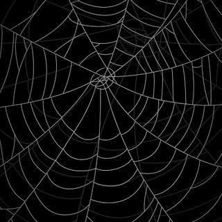 a spider web pattern on a black background Halloween Spider Webs Diy Halloween Decoration Ideas, Black And White Spider Web, Halloween Spider Web Decor,
