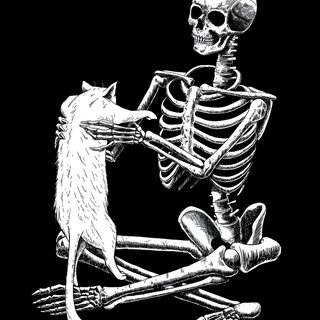 a skeleton sitting on top of a cat Halloween Skeleton Cat Skeletons Cuddling, Two Skeletons Hugging, Two Skeletons Looking At Each Other, black