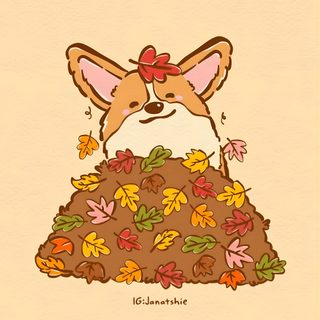 a drawing of a dog sitting on top of a pile of leaves with its eyes closed Corgi Halloween navajo white