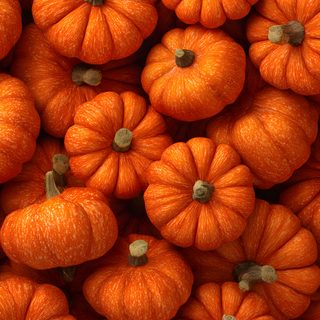 many orange pumpkins are stacked up together Halloween Orange Pumpkin Free Fall, Pumpkin, Thanksgiving Inspiration, Fall Background, firebrick