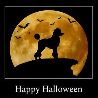 a happy halloween card with a poodle silhouetted in front of a full moon Halloween Poodle Standard Poodle Skeleton, Black Poodle In Autumn, Poodle Juggling Clipart,