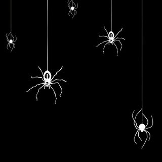 a group of black and white spider's hanging from strings in the dark with text overlay Black And White Halloween Halloween Spider, Spider For Phone, Spider Iphone, Spider Web, Spooky Spider,