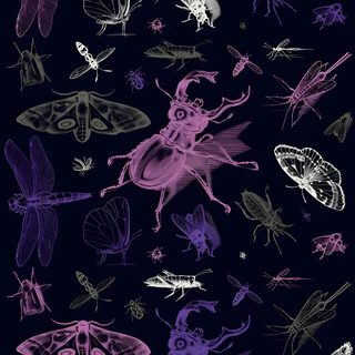 a bunch of different types of bugs and insects on a black background with purple ink Halloween Insects Cool Purple Aesthetic, Insect Art Design, Insect, Inverted Bug Background, black