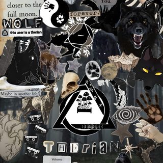 a collage of black and white images with different types of animals on them, including bears Therian Halloween Gray Wolf Therian, Crow Therian, Grey Wolf Therian, Black Fox Therian,