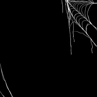 a black and white photo of spider webs on a tree branch in the night Black And White Halloween Halloween, Spooky Background, Spiderman Web, Halloween Iphone Backgrounds,