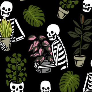 a black background with white skulls and potted plants on it, one is holding a plant Halloween Plant Halloween Plant, Spooky Spring, Plant Phone Background, Spooky Summer, Green Spooky, black