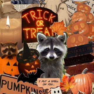 a collage of halloween pictures with raccoons, pumpkins and other items Halloween Raccoon Trick Or Treat, Halloween, Dragonfly Inn, sienna