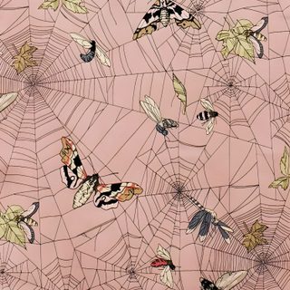a pink background with lots of spider webs and moths on it's surface Halloween Insects Vintage Insect Pattern, Pink Background Spider Art, Bug Pattern, tan