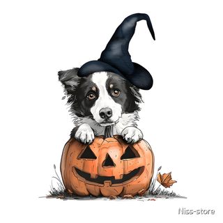 a black and white dog sitting on top of a pumpkin Halloween Border Collie Dog In A Pumpkin Drawing, Border Collie Halloween Background, Hollowshot Border Collies, white