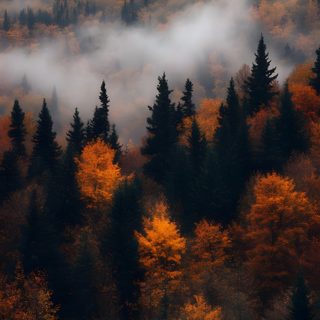 the mountains are covered in fog and trees with yellow leaves on them, as seen from below Halloween Mountain For Iphone Hd, Iphone Best, Autumn Background Iphone, dark slate gray