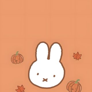 an orange background with a bunny face and pumpkins Miffy Halloween Fall Wallapper, Fall Themed For Iphone, Fall I Pad, Fall Wallapers Aesthetics, dark salmon