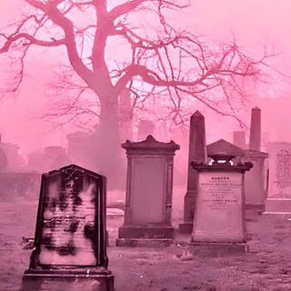 an old cemetery with tombstones and trees in the fog Pink Halloween Laptop Scary Pink Background, Header Rosa, Pink Goth Pc, Pink Graveyard, pale violet red