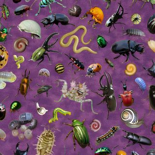 an image of many different bugs on purple background Halloween Insects Bug Type Background, Bug Type, Halloween Bugs, Insect Background, dim gray