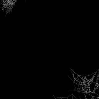 black and white spider web frame with copy space Halloween Web Black Halloween Iphone, Edgy, Halloween, Decor Shabby Chic, Image Halloween,