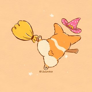 an orange and white cat with a hat on it's head flying through the air Corgi Halloween Corgi Art, Learn To Fly, Halloween Art, Digital Illustration, Witch, Instagram, navajo white