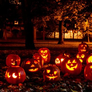 pumpkins carved to look like jack o lantern faces Calabazas Halloween Jack O Lantern Pumpkin Patch, Jack O Lantern Jamboree 2, Jack O Lantern Driveway Lights, black