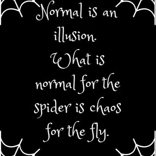 a spider web frame with the quote normal is an illusion what is normal for the spider is chaos for the fly Halloween Quotes Aesthetic Halloween Quotes, black