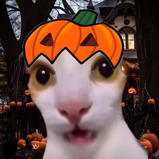 a cat with a pumpkin on it's head in front of a halloween scene Halloween Meme Funny Pumpkin Pfp, Silly Halloween Pfp, Pumkat Pfp, Halloween Cat Meme Pfp, saddle brown
