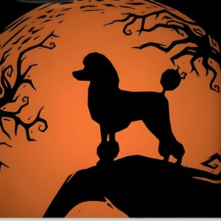 the silhouette of a poodle dog is shown in front of an orange full moon Halloween Poodle Poodle Silhouette Illustrations, Poodle Pumpkin, sienna