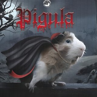 a rodent with a cape on it's head Halloween Guinea Pig Vampire Guinea Pig, Halloween Guinea Pigs-on-white, Guinea Pig Halloween Costumes, dark slate gray